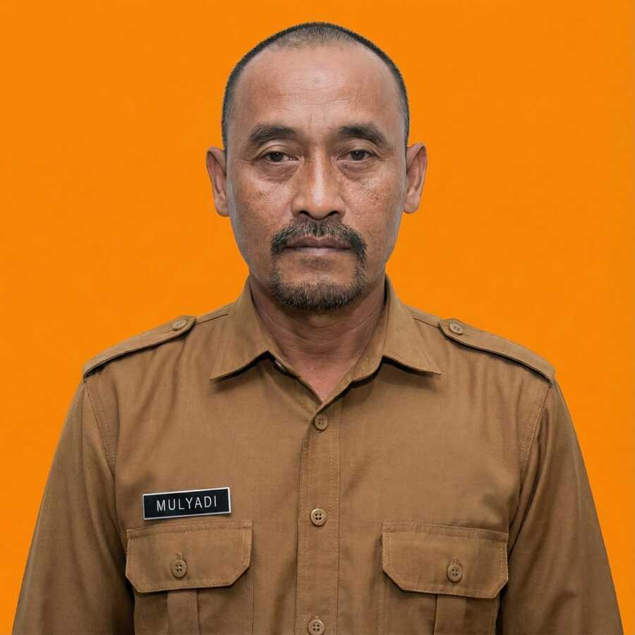 Mulyadi